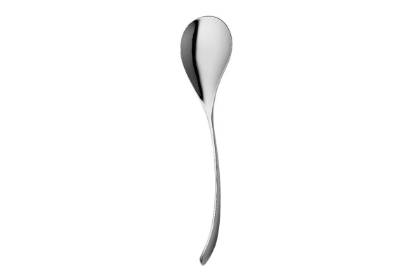 Ashbury (BR) Salad Serving Spoon (right)