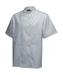 Basic Stud Jacket (Short Sleeve)White Xs Size