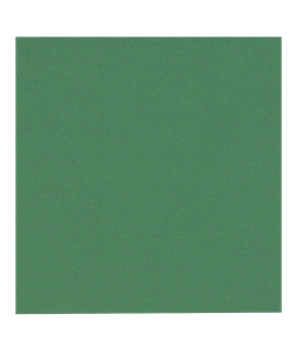 33CM GREEN NAPKIN 2PLY (CTN-2000)